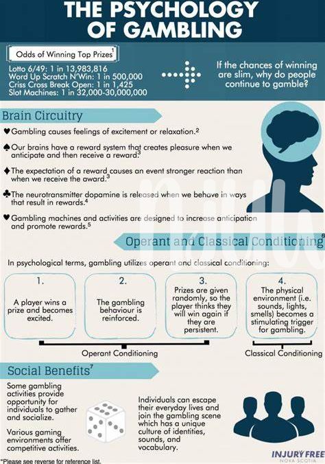 🎰 the Role of Dopamine in Reward and Risk-taking